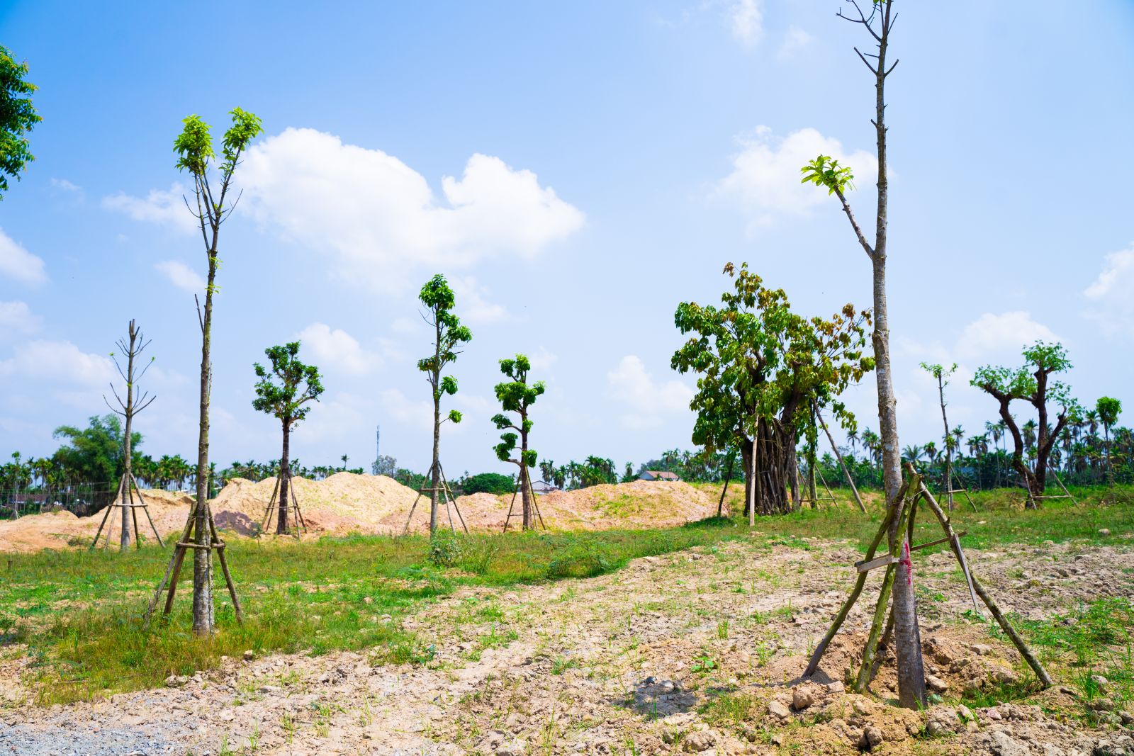 Phu-dien-residences