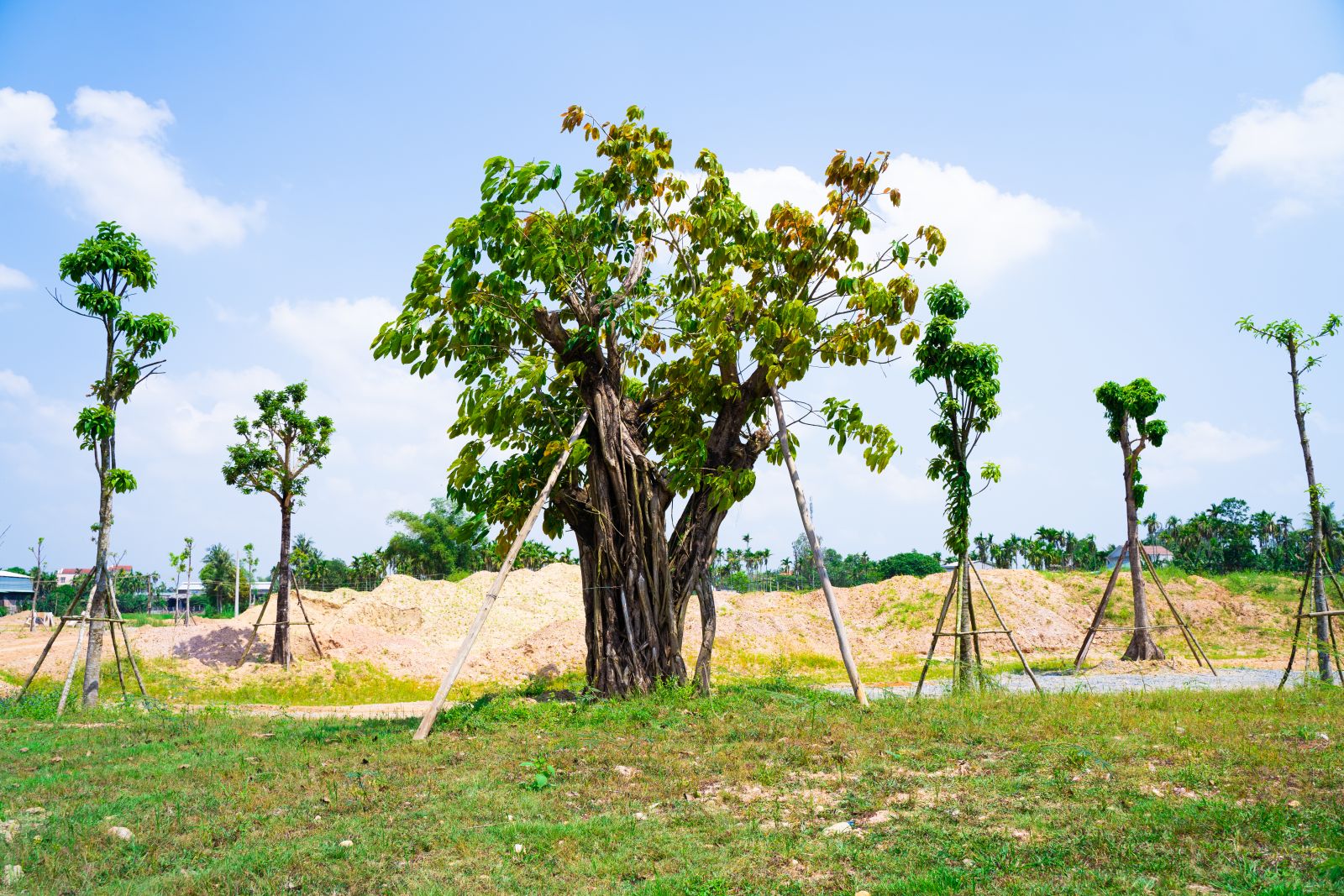 Phu-dien-residences