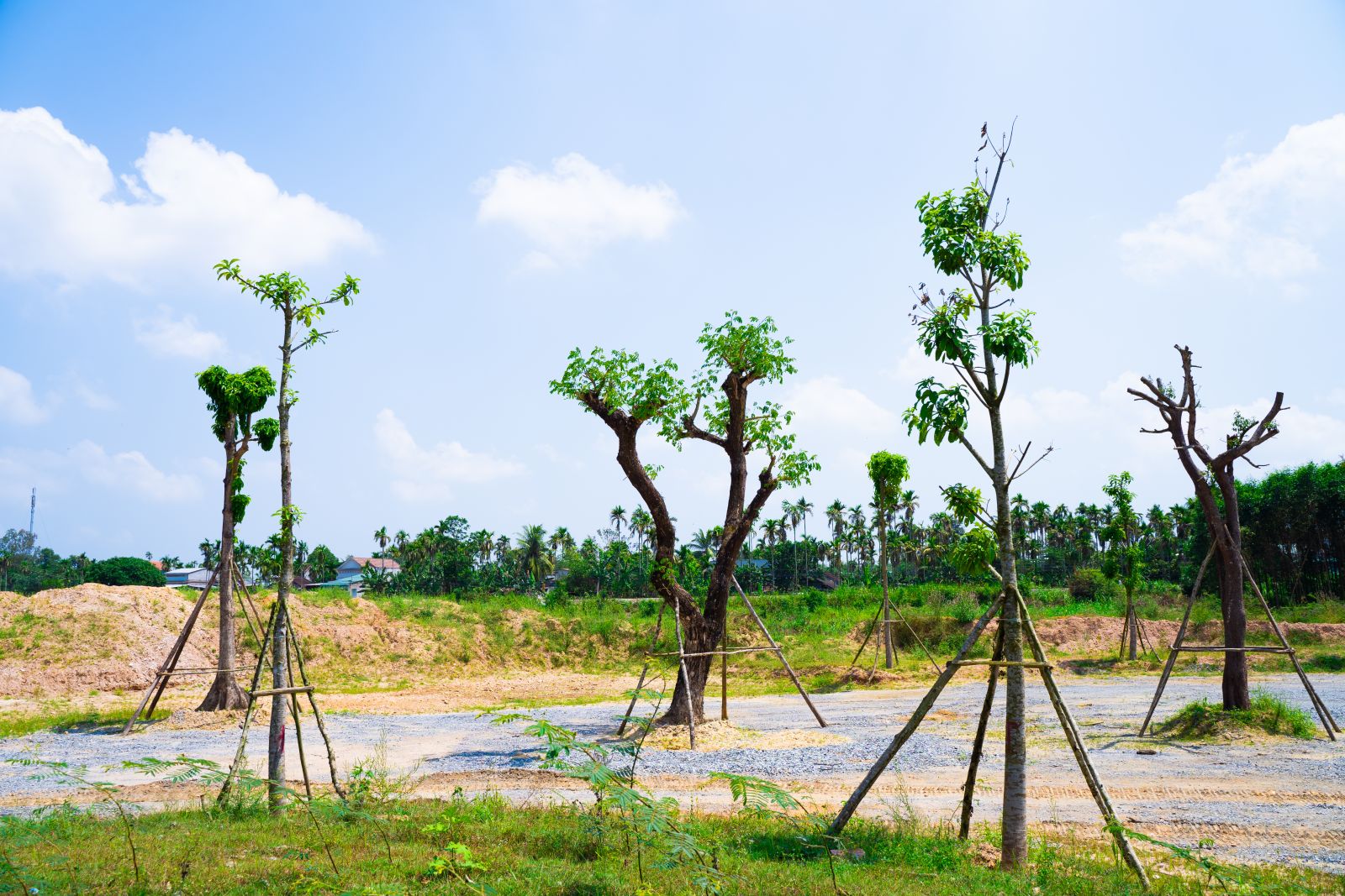 Phu-dien-residences