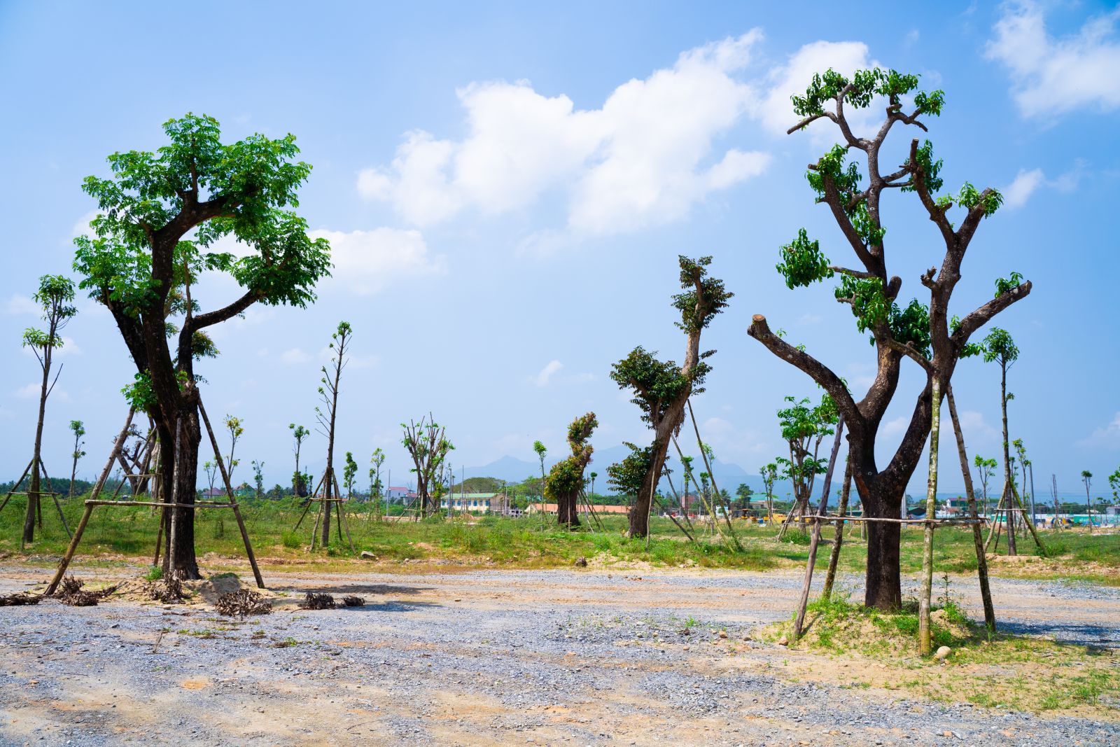 Phu-dien-residences